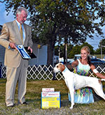 Ch. Marjetta Sweet Annie pictured going Best of Winners for a 5 point major  at the Ohio Hall of Fame Pointer Club Specialty under breeder judge Danny Seymour.  Annie is handled here by Katie Shepard.